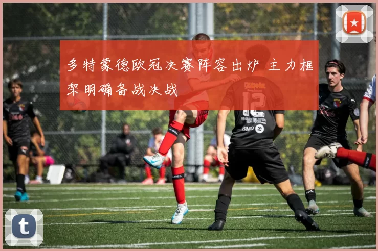多特蒙德欧冠决赛阵容出炉 主力框架明确备战决战