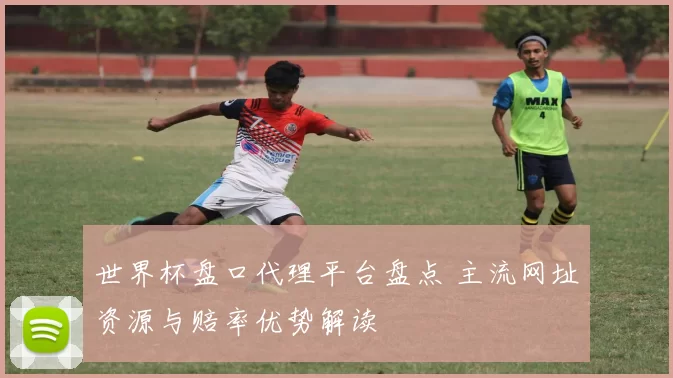 世界杯盘口代理平台盘点 主流网址资源与赔率优势解读