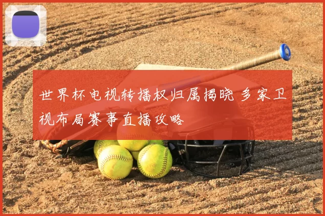 世界杯电视转播权归属揭晓 多家卫视布局赛事直播攻略