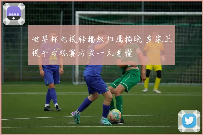 世界杯电视转播权归属揭晓 多家卫视平台观赛方式一文看懂